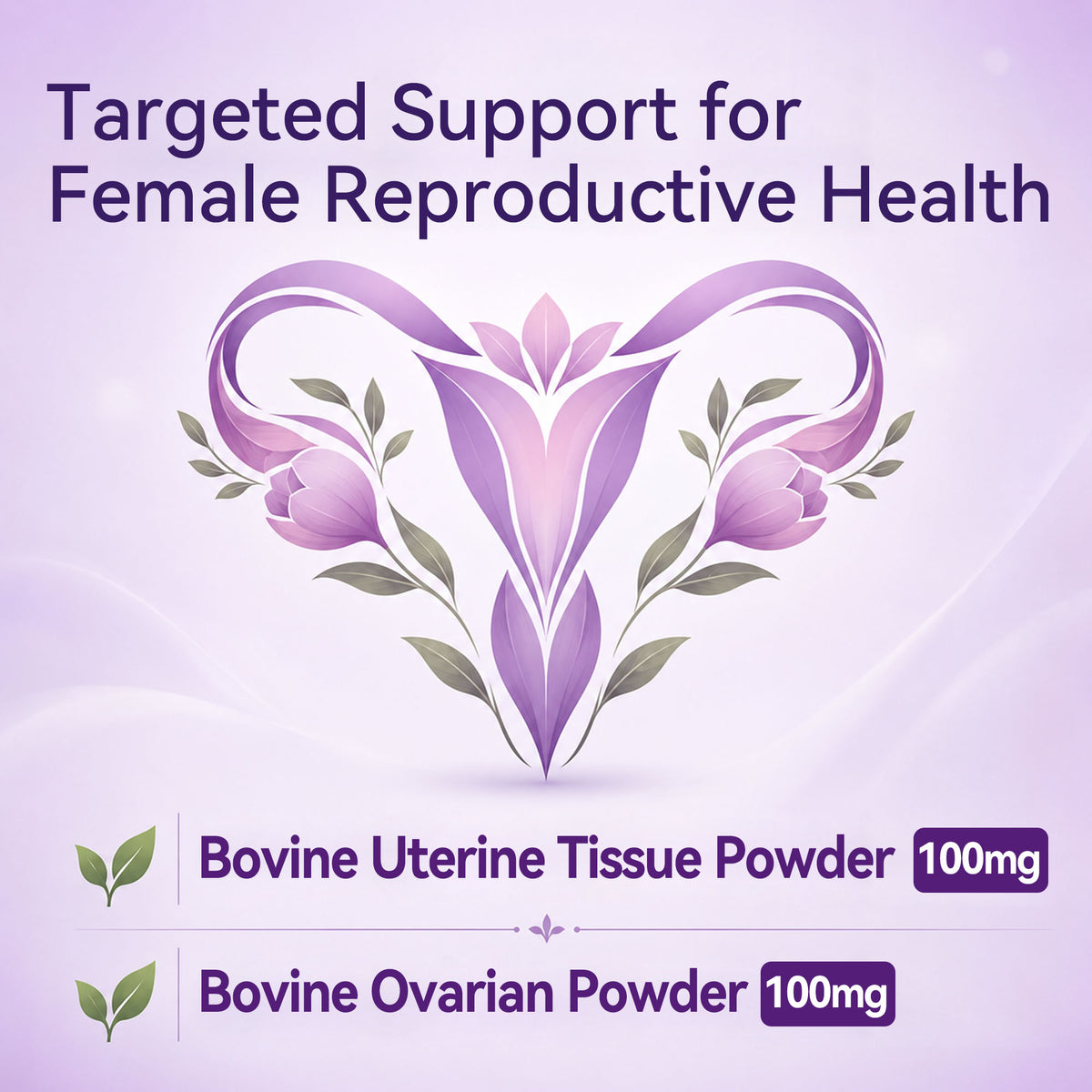 Tjikko Beef Organ Supplement for Women – with Uterus, Ovary, Liver, Kidney, Heart, Bone Marrow & Colostrum – Plus Vitex, Maca, Ashwagandha, Shatavari – Hormone Balance, Cycle Support & Energy – 60 Cap