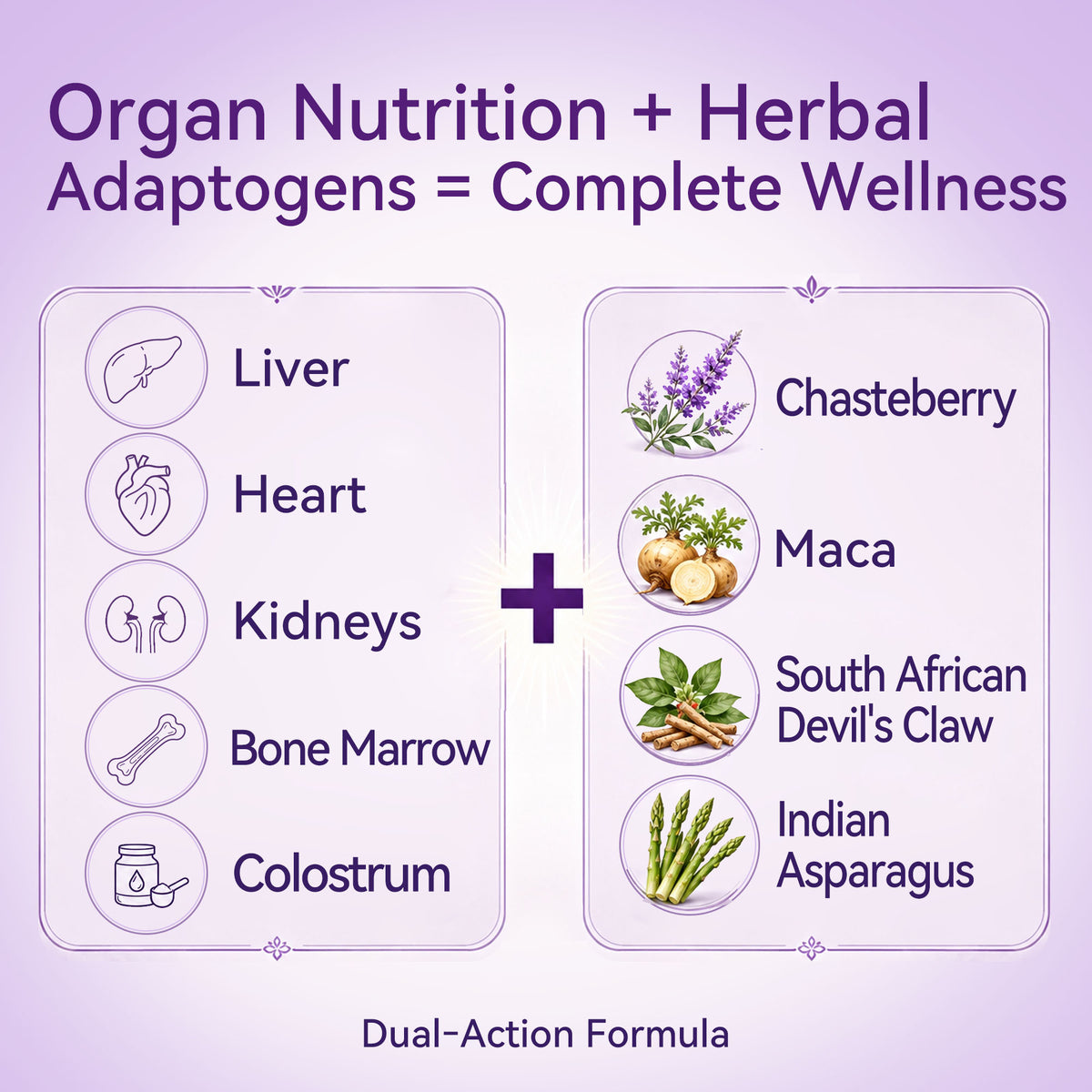 Tjikko Beef Organ Supplement for Women – with Uterus, Ovary, Liver, Kidney, Heart, Bone Marrow & Colostrum – Plus Vitex, Maca, Ashwagandha, Shatavari – Hormone Balance, Cycle Support & Energy – 60 Cap