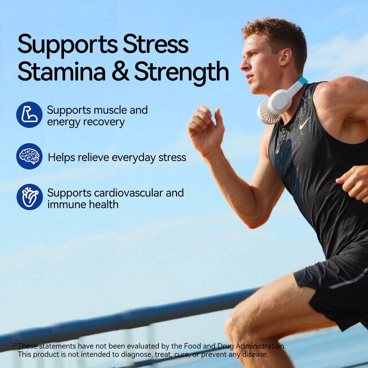 TJIKKO Men’s Vitality Complex – Ashwagandha 800mg, Vitamin B Complex, Maca, L-Theanine – Energy, Stress Support, Testosterone Support, Mood & Focus – 90 Capsules, 30 Day Supply (multivitamin for man)