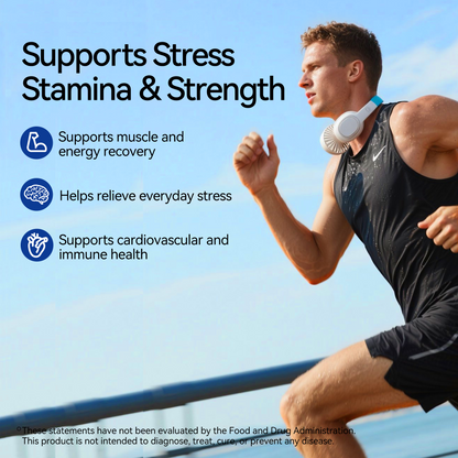 TJIKKO Men’s Vitality Complex – Ashwagandha 800mg, Vitamin B Complex, Maca, L-Theanine – Energy, Stress Support, Testosterone Support, Mood & Focus – 90 Capsules, 30 Day Supply (multivitamin for man)